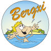 bergxi logo .jpg